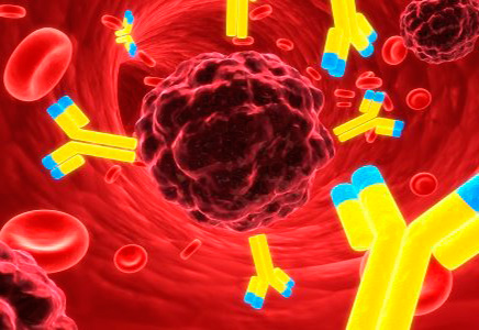 leucemia